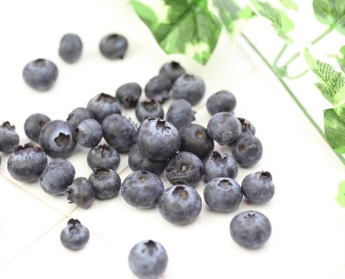 �u���[�x���[�T�v���͂����ނ̂��ǂ��́H