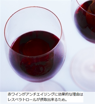 �u���[�x���[�T�v����������